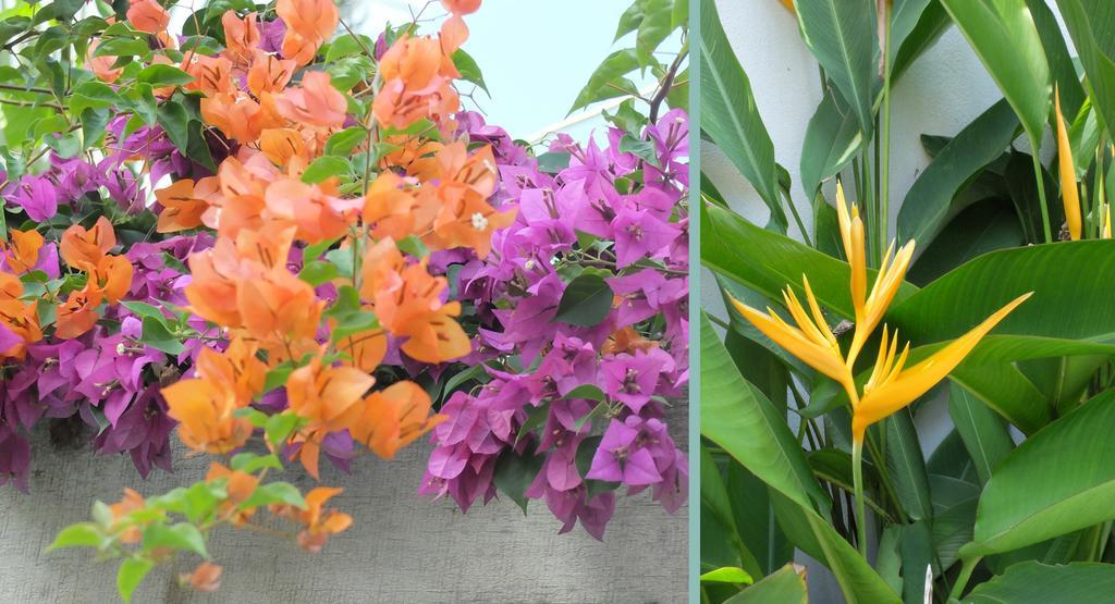 The Sangkum Hotel พนมเปญ ภายนอก รูปภาพ